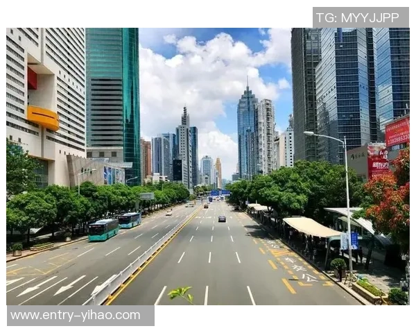 上海与深圳的城市魅力对比探讨未来发展潜力与机遇