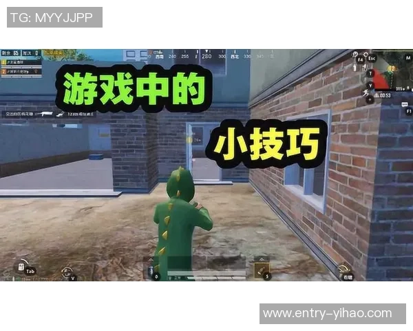 和平精英新手必看攻略：提升游戏意识的实用技巧与建议